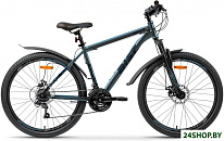 Quest Disc 26 р.13 2026 (синий)