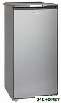 Картинка Холодильник Бирюса M10 (металлик)