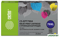 CS-EPT7904 (аналог Epson 79XL)
