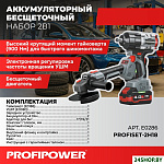 ProfiSet-2H20 E0286 (гайковерт, болгарка, 2 АКБ, кейс)
