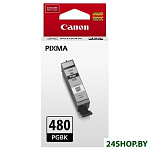 Картинка Картридж Canon PGI-480 PGBK (2077C001)