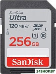 Картинка Карта памяти SanDisk Ultra SDXC SDSDUN4-256G-GN6IN 256GB