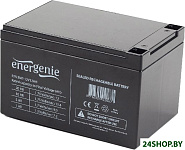 BAT-12V12AH