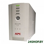 Источник бесперебойного питания APC Back-UPS CS 500 (BK500EI)