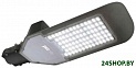 Уличный настенный светильник JAZZway PSL 02 80W 4000K IP65 серый