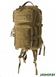 Картинка Туристический рюкзак Tramp Squad 35 (песочный)